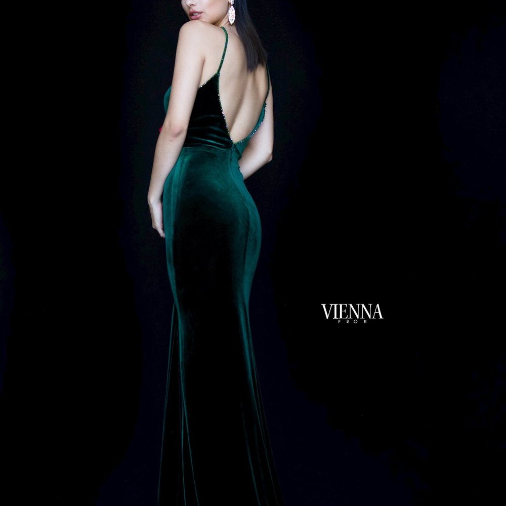 Vienna  Prom - Picture 2 of 2